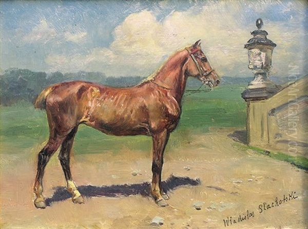 Etude D'un Cheval by Wladyslaw Stachowski