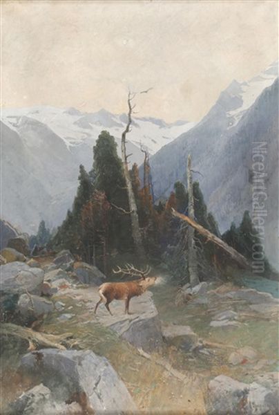 Gebirgsweg Mit Rohrendem Hirsch Oil Painting by Albert Stagura