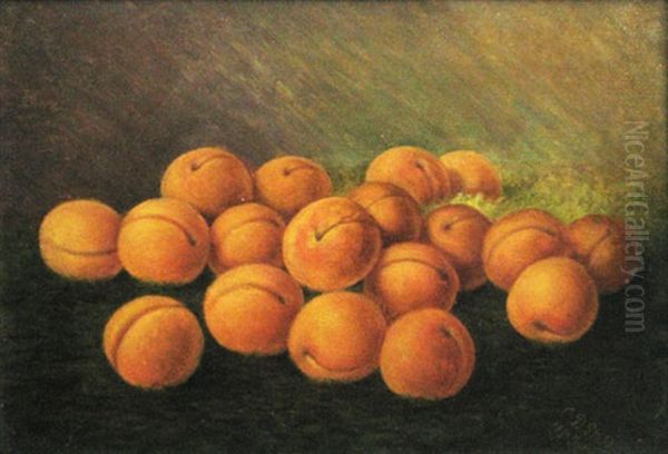 Peaches Oil Painting by Constantin Daniel Stahi