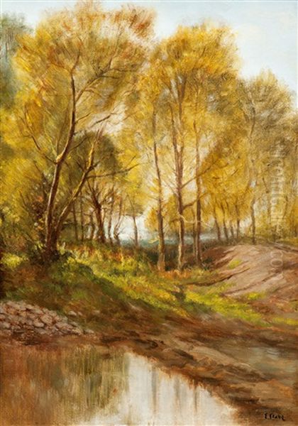 Landschaft Mit Bachlauf Und Baumen Oil Painting by Emile Stahl