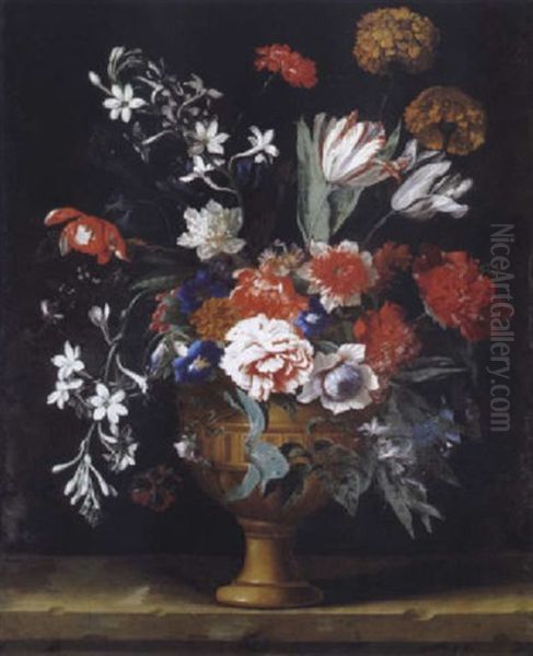 Stilleben Mit Nelken, Rosen, Narzissen, Begonien Und Anderen Bluten In Einer Tonvase Oil Painting by Niccolo Stanchi