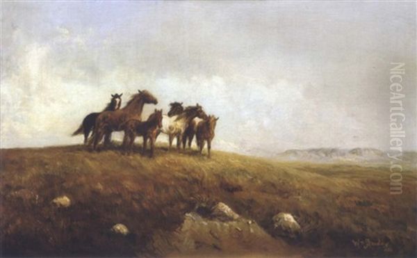 Horses On A Hill by William M. Standing