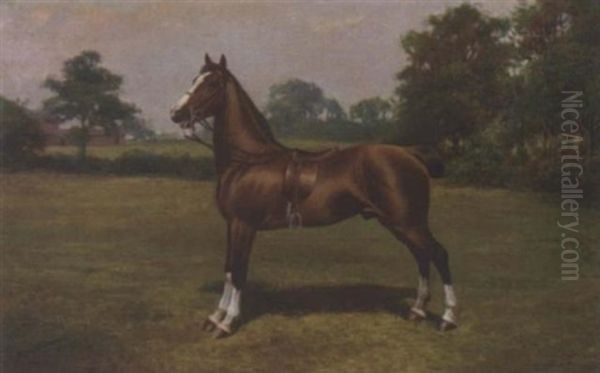 A Saddled Light Brown Hack In A Landscape Oil Painting by Henry John Sylvester Stannard