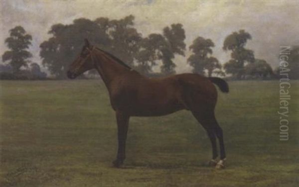 A Dark Brown Hack In A Landscape by Henry John Sylvester Stannard