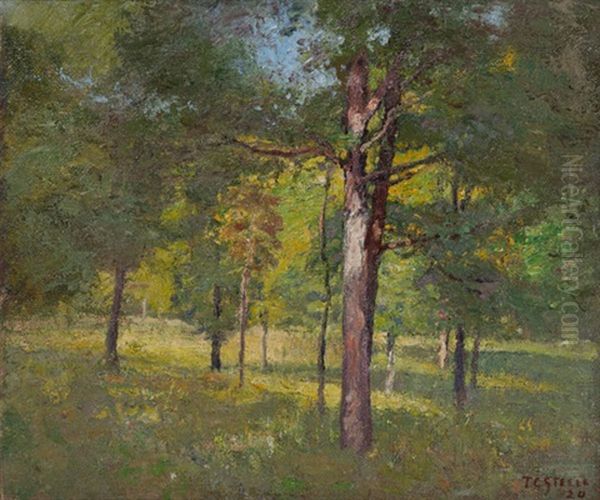 In The Woods - Summer Oil Painting by Theodore Clement Steele