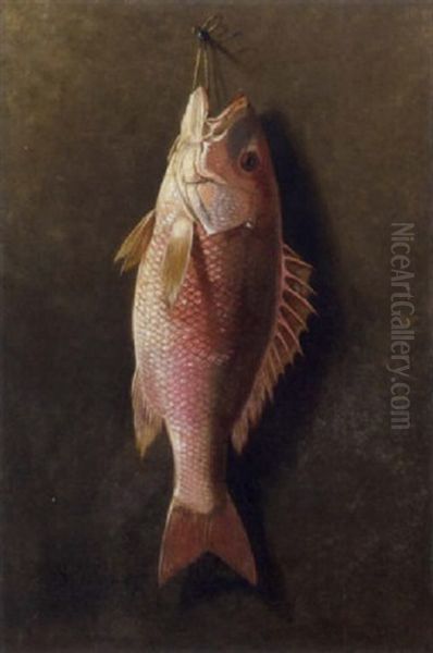 Still Life Of Red Snapper Oil Painting by Thomas Sedgwick Steele