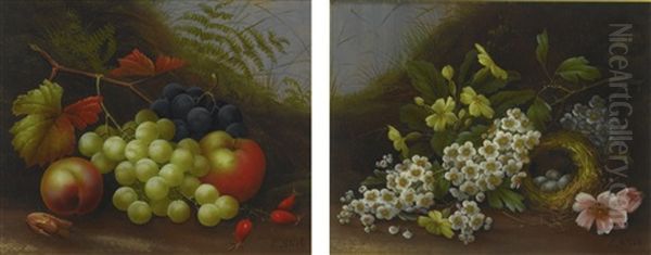 Still Life Of Apples And Grapes On A Mossy Bank; Still Life With Flowers And A Bird's Nest Oil Painting by Edwin Steele