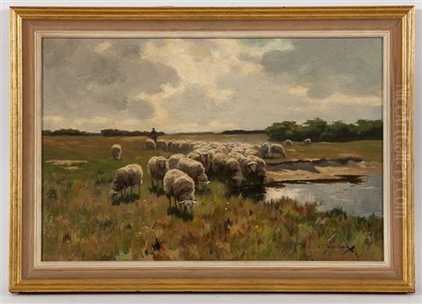 Sheep Grazing Oil Painting by Willem Steelink