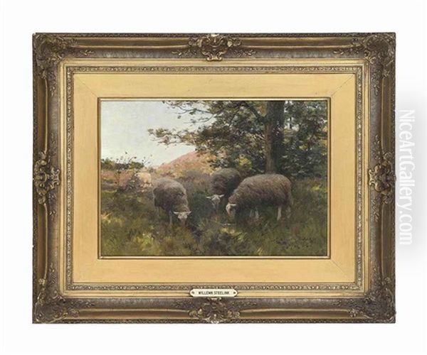 Sheep Grazing Under A Tree Oil Painting by Willem Steelink