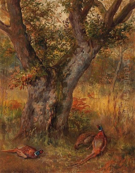 Pheasants In The Undergrowth Oil Painting by David George Steell