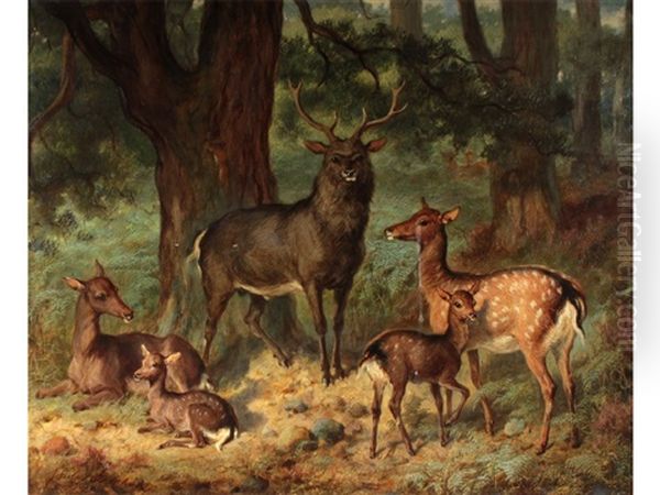 Fallow Deer In A Wood Oil Painting by Gourlay Steell