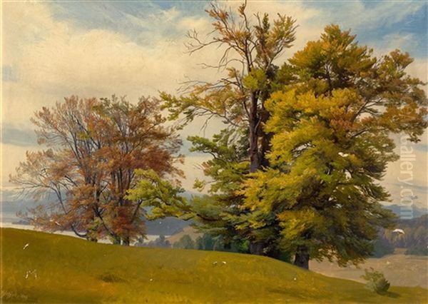 Tree Study Near Tutzing Oil Painting by Johann Gottfried Steffan