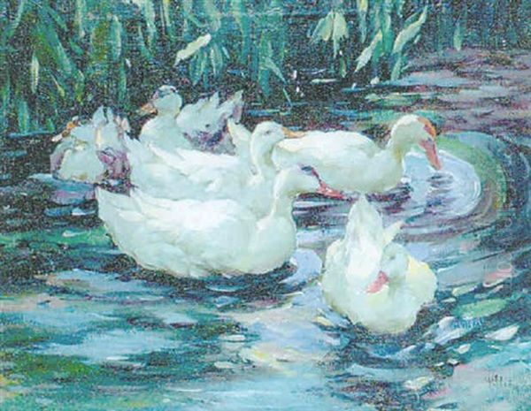 Enten Im Weiher Oil Painting by Josef von Stein