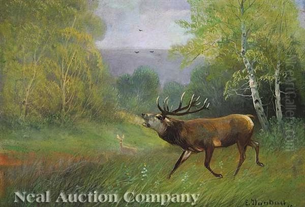 Buck In A Field Oil Painting by Eduard Steinbach