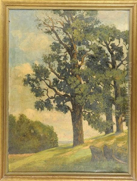 Landschaft Mit Knorrigem Baum Oil Painting by Heinrich Steinhagen