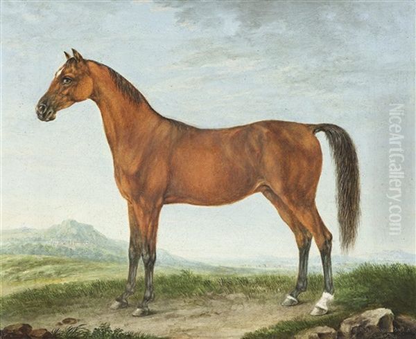 Portrat Eines Araberpferdes Oil Painting by Johann Friedrich Steinkopf