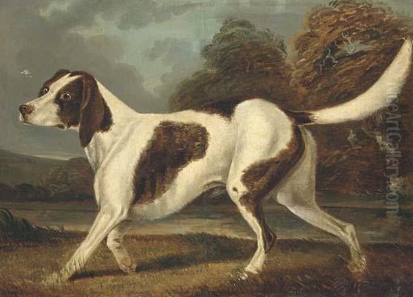 A Gundog In A Landscape Oil Painting by Charles Branscombe