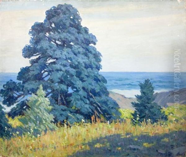 Pine Tree, Monhegan Oil Painting by George J. Stengel