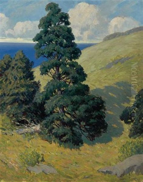 Monhegan, Pine #1 by George J. Stengel