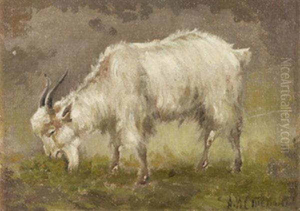 A Goat Oil Painting by Alexandr Nikoalevich Stepanov