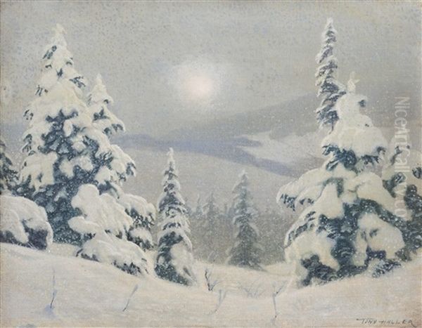 Waldrand In Der Wintersonne Oil Painting by Hans Sterbik