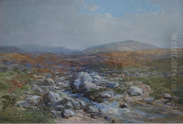 Scene On Dartmoor Oil Painting by Charles Branwhite