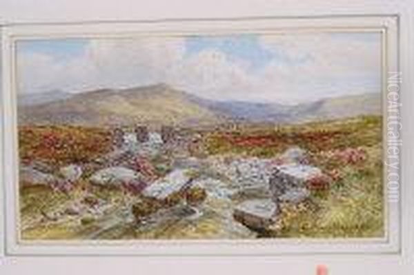 Extensive Moorland Landscape Oil Painting by Charles Branwhite