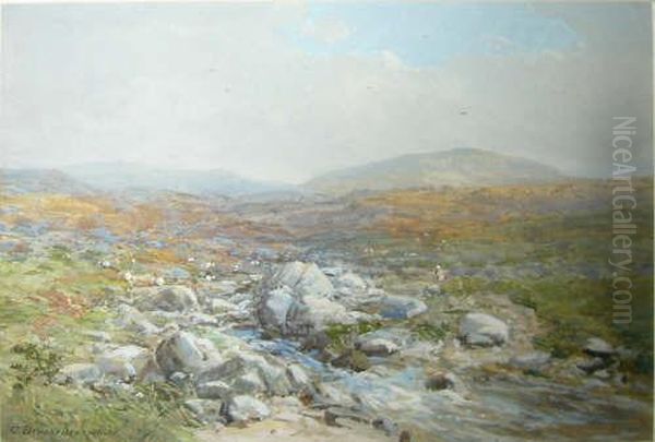 A Summer's Day Over Dartmoor Oil Painting by Charles Branwhite