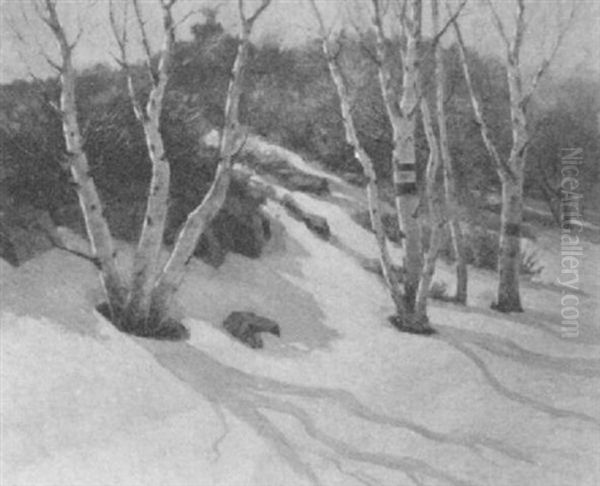 Winter In New England, Hillside Birches Oil Painting by John Calvin Stevens