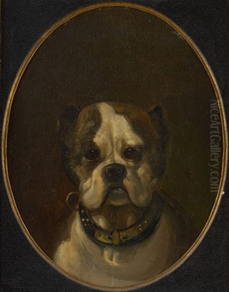 Portrait De Chien Oil Painting by Joseph (Edouard J.) Stevens