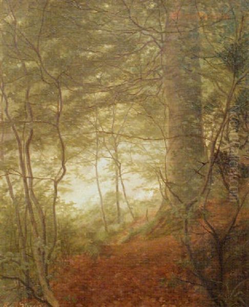 Woodlands Oil Painting by Rene Stevens