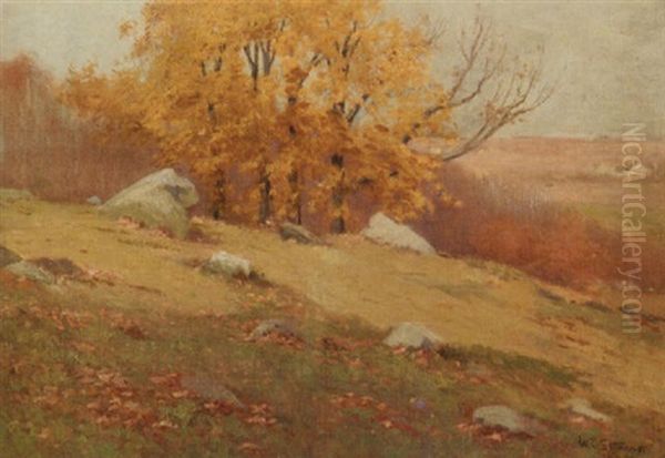 Sunny Hill In Autumn Oil Painting by William Charles Stevens