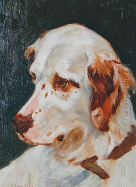 Study Of A Dog's Head Oil Painting by William Grant Stevenson