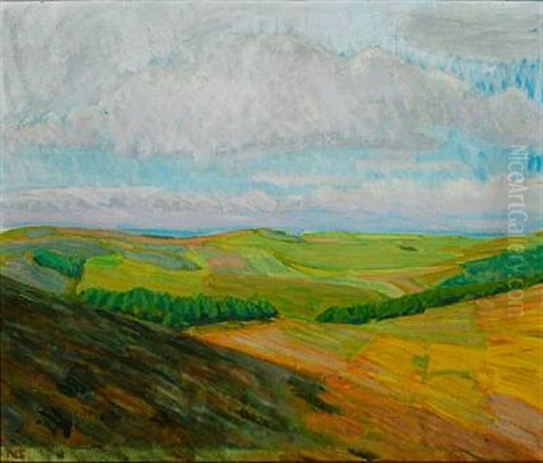 Sidelys Fra Siden Af Bavnehoj Oil Painting by Niels Larsen Stevns