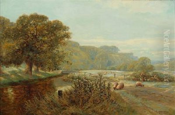 Grazing Sheep Oil Painting by Harry James Sticks