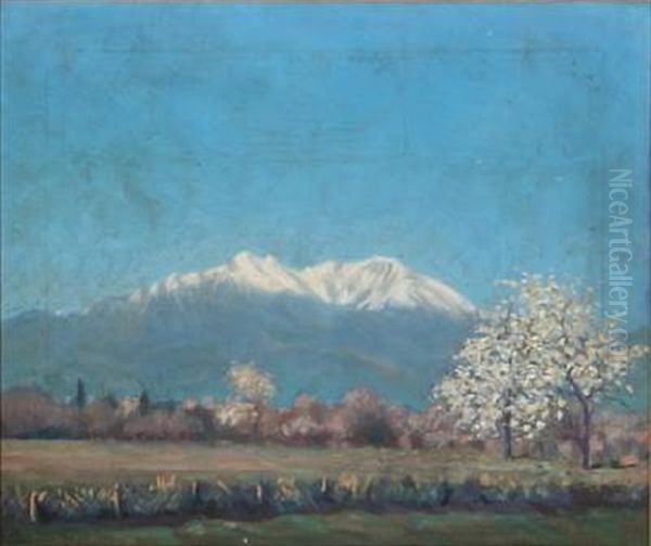 Bjaerget Canigou I Pyrenaeerne Oil Painting by Carl Stilling