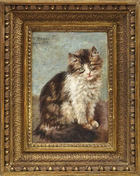 Junge Katze Oil Painting by Minna Stocks