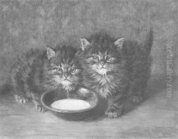 Zwei Junge Katzen Mit Milchschale by Minna Stocks