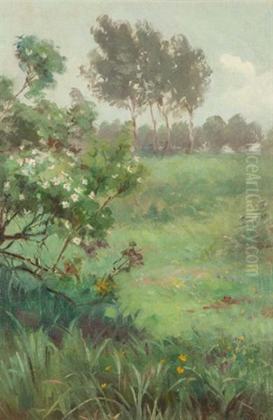 The Garden Diamond Harbour Oil Painting by Margaret Olrog Stoddart