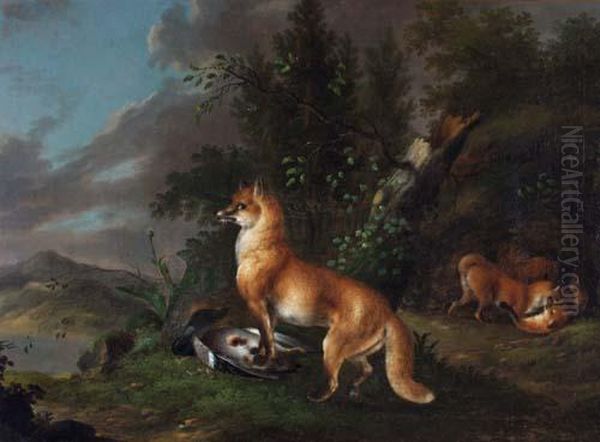 Fuchsin Mit Wildente Vor Ihrem Bau, Im Hintergrund Drei Sich Balgende Junge Oil Painting by Wenzel Ignaz Prasch