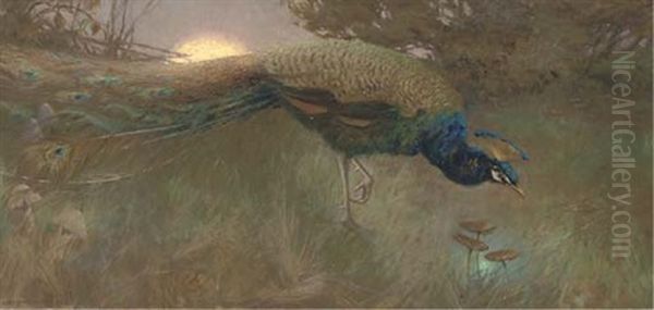 Peacock At Twilight Oil Painting by George Vernon Stokes