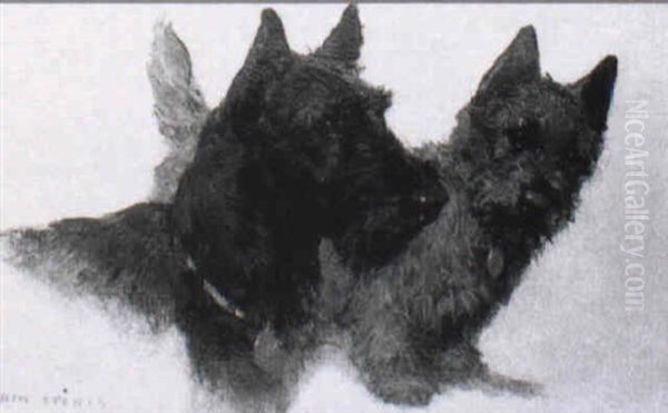 Scottish Terriers Oil Painting by George Vernon Stokes