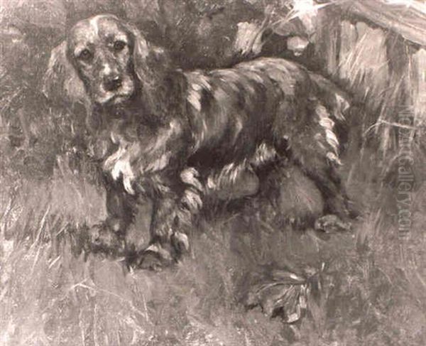 The Spaniel `golden Sparklet' Oil Painting by George Vernon Stokes