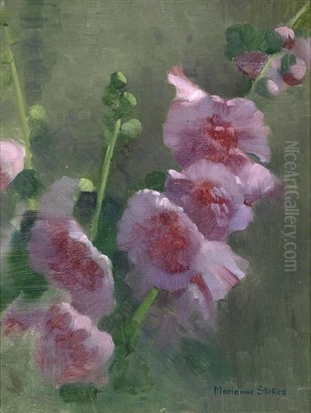 Study Of Hollyhocks Oil Painting by Marianne (Preindlsberger) Stokes