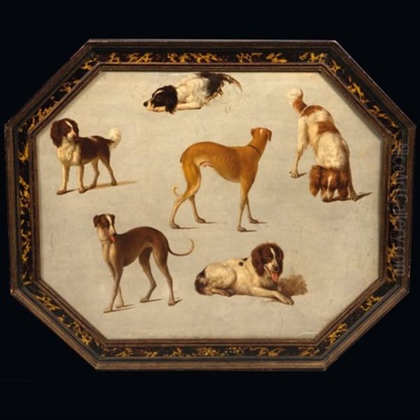 Epagneuls Et Autres Chiens Oil Painting by Hendrik Stokvisch