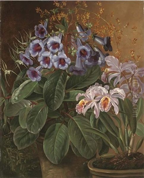 Orchids In A Terracotta Pot Oil Painting by Charles Storer