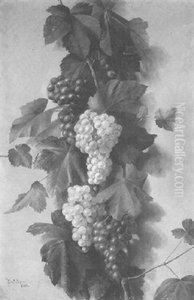 The Grape Vine Oil Painting by Charles Storer