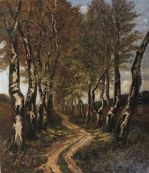 Birch Trees Along A Lane Oil Painting by Carel Nicolaas Storm van 's-Gravensande