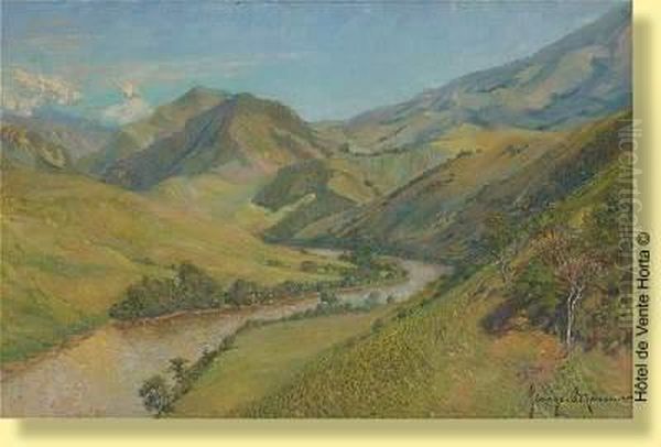 Paysage Fluvial Ensoleille Oil Painting by Georges Brasseur