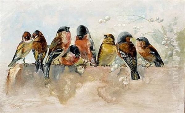 Birds On A Wall Oil Painting by Cornelis Samuel Stortenbeker